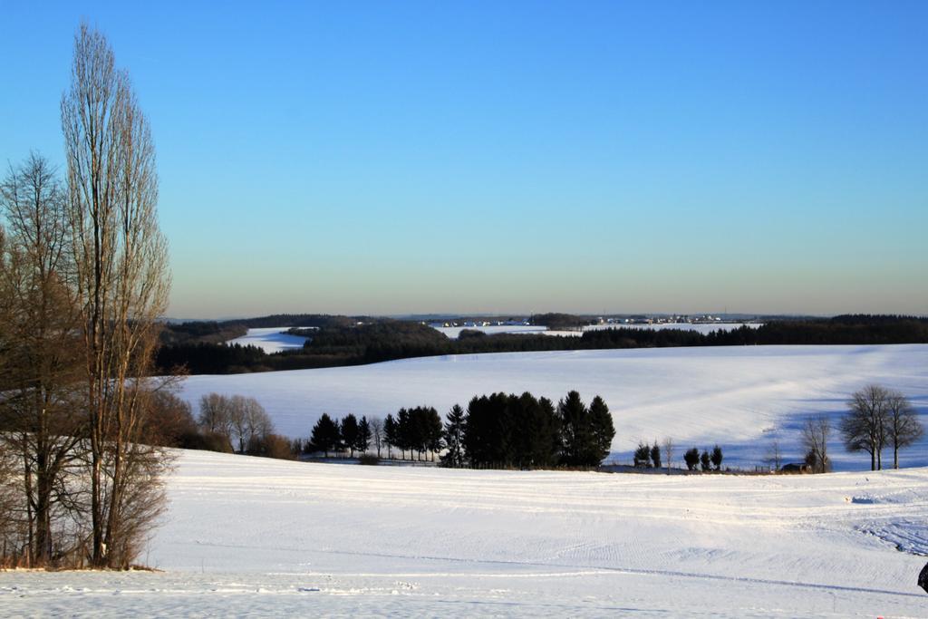 Ferienwohnungen Eifelblick Lutzerath ภายนอก รูปภาพ